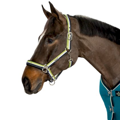 Kantar Eskadron Double Pin lime-white-caviar z kolekcji Eskadron Next Generation wiosna-lato 2015.