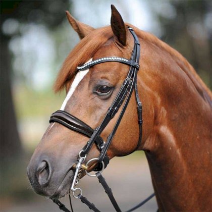Ogłowie munsztukowe Kavalkade Antonia, czarne/czarne lakier