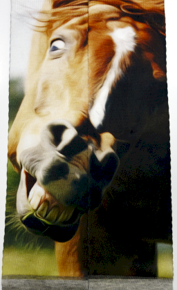 Podkol. sublim. uśmiechnięty koń