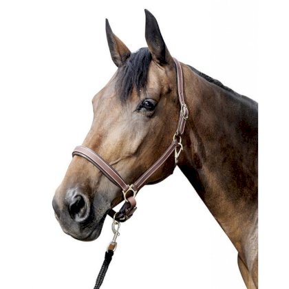 Skórzany kantar -Nature-, miękko podszyty HKM, brązowy