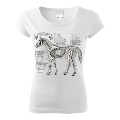 T-shirt damski Szkielet Konia, biały