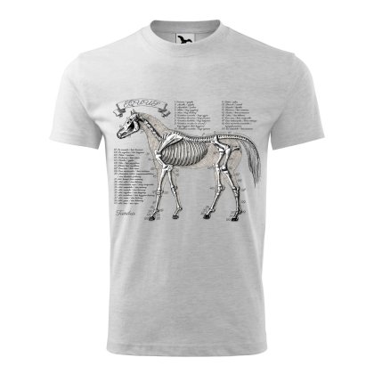 Męska koszulka szkielet konia, jasno szary melanż