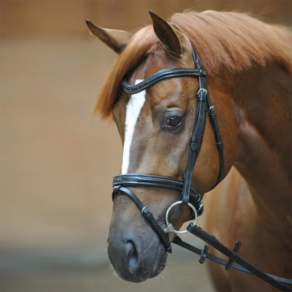 Ogłowie Kavalkade Estella, czarne