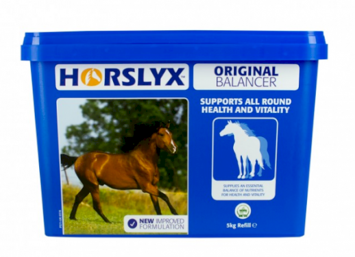 Lizawka dla konia Horslyx Original, 650g