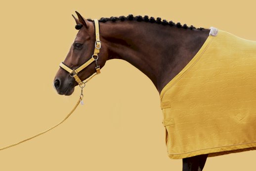 Derka polarowa Eskadron FLEECE STAMPED CS jesień zima 2021, vintage gold