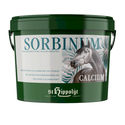 Wapno Calcium Sorbinum St. Hippolyt 10kg