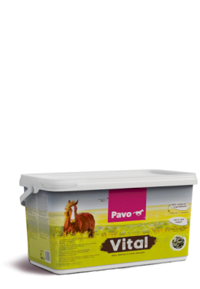 Pavo Vital mieszanka witaminowo-mineralna, wiaderko 8kg