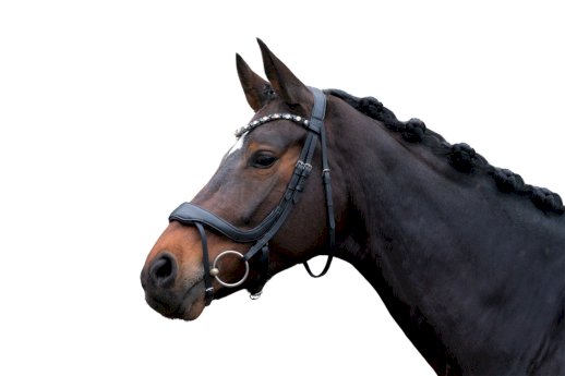 Ogłowie anatomiczne HKM Mila, czarne