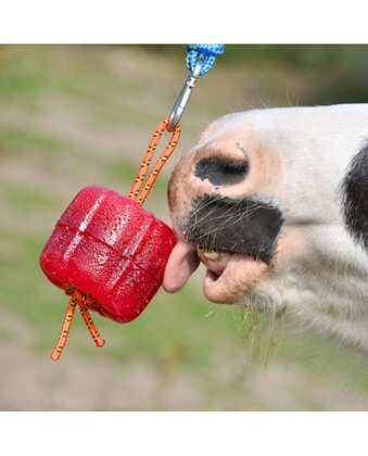 Candy Bells lizawka dla koni, wiśniowa