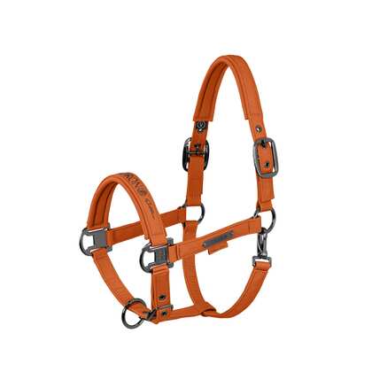 Kantar Eskadron Sparkle Double Pin Platinum 26, amber Kantar Eskadron Sparkle Double Pin Platinum 26, amber