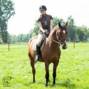 Czaprak ujeżdżeniowy Horze Spirit, beżowy