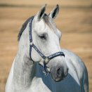 Kantar Horze Hamptons granatowy