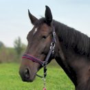 Kantar podszywany Neo, granatowy/magnolia