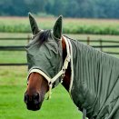 Kaptur przeciw owadom