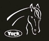 Naklejka York głowa konia z logo, biała