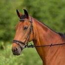 ogłowie Pony z naczółkiem V, czarne