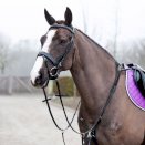 Wytok z napierśnikiem Horze Venice czarny