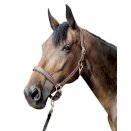 Skórzany kantar -Nature-, miękko podszyty HKM, brązowy