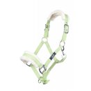 Kantar -Bischofshofen- podszyty futerkiem, limetka