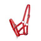 Kantar START na źrebię, czerwony