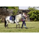 Czaprak -Funny Horses- granat/ciemny róż