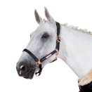 Kantar Eskadron LEATHER