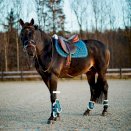 Czaprak wszechstronny Claremont petrol