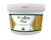 Mervue Equine ProBio Plus, probiotyki i trawienie