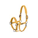 Kantar Softshell Pearls DoublePin Eskadron Platinum 25, golden yellow
