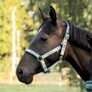 Kantar dla konia York West, turkus