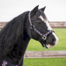 Kantar dla konia QHP Lize, czarny/fiolet unicorn