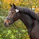 Numerek startowy QHP serce, srebrne Numerek startowy QHP serce, srebrne