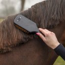 Zestaw szczotek do pielęgancji konia, QHP Royal Black