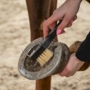 Zestaw szczotek do pielęgancji konia, QHP Royal Black