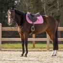 Czaprak wszechstronny QHP Lyvia, różowy Czaprak wszechstronny QHP Lyvia, różowy