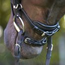 Ogłowie anatomiczne Kavalkade Cajus z nachrapnikiem kombinowanym, czarne