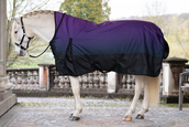 Derka padokowa Highneck Lugano 1200D 100g, czarny/ ciemny lila Derka padokowa Highneck Lugano 1200D 100g, czarny/ ciemny lila