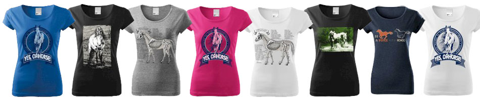 T-shirt z koniem, koszulka z konikiem